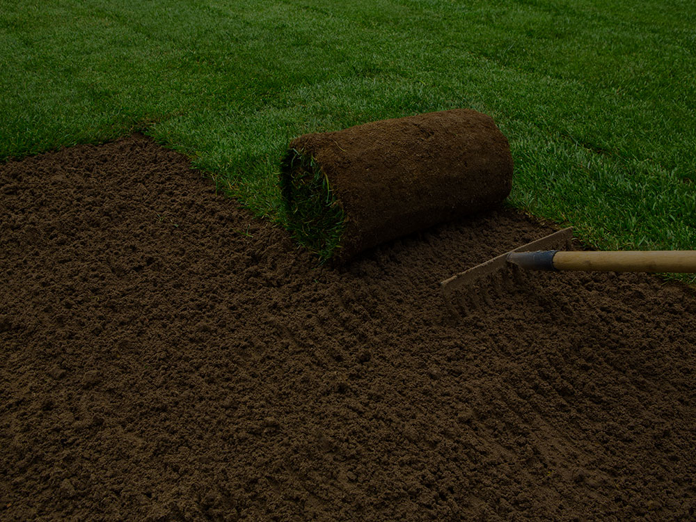 Sod Installation